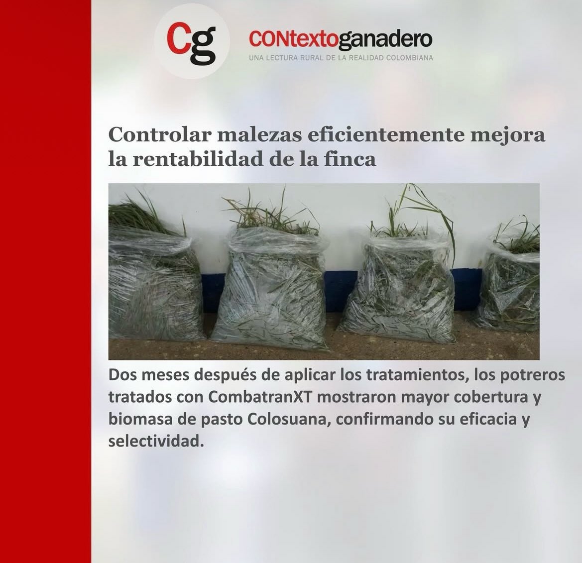 Codazzi Pasión Ganadera tweet media