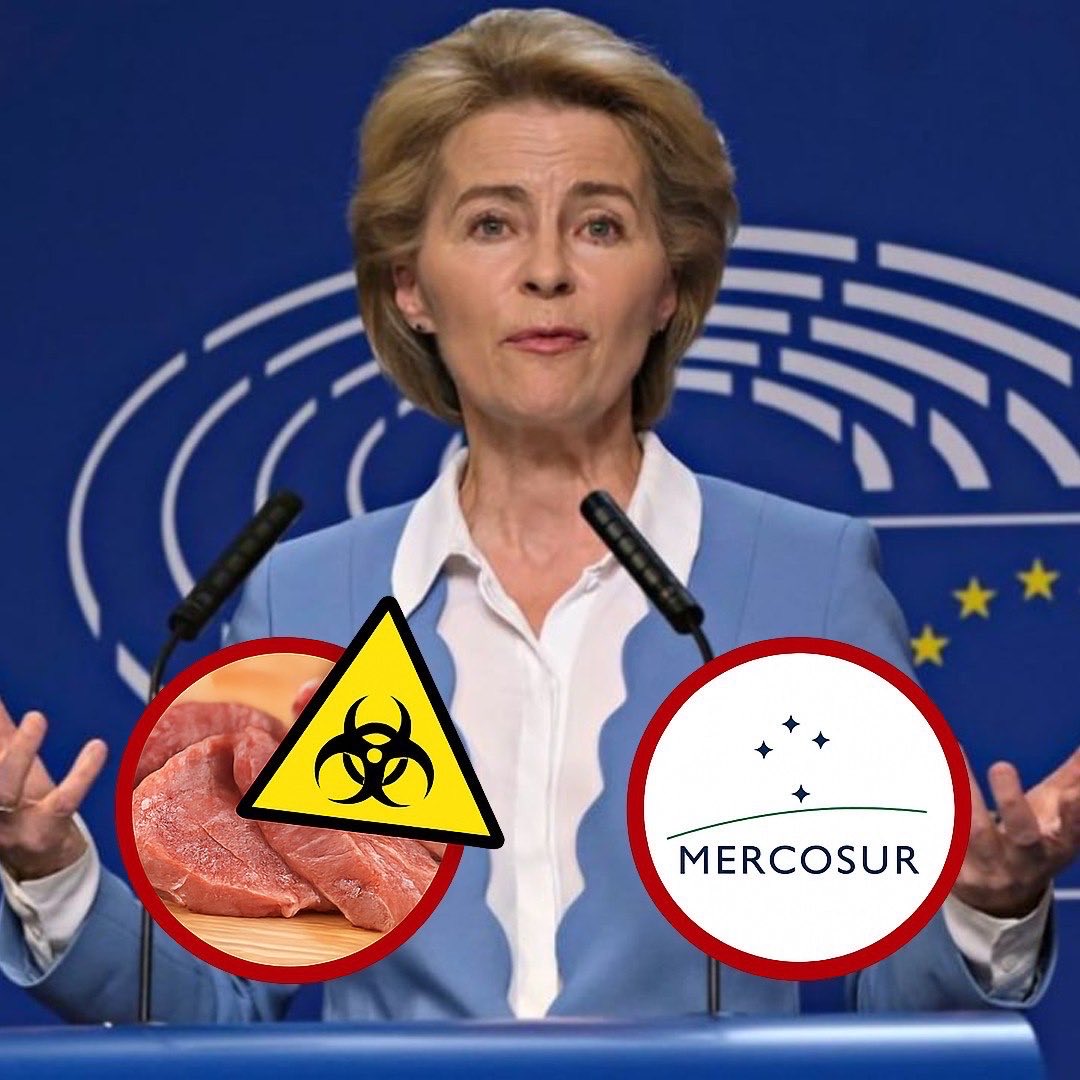 Ewa Zajączkowska-Hernik tweet media