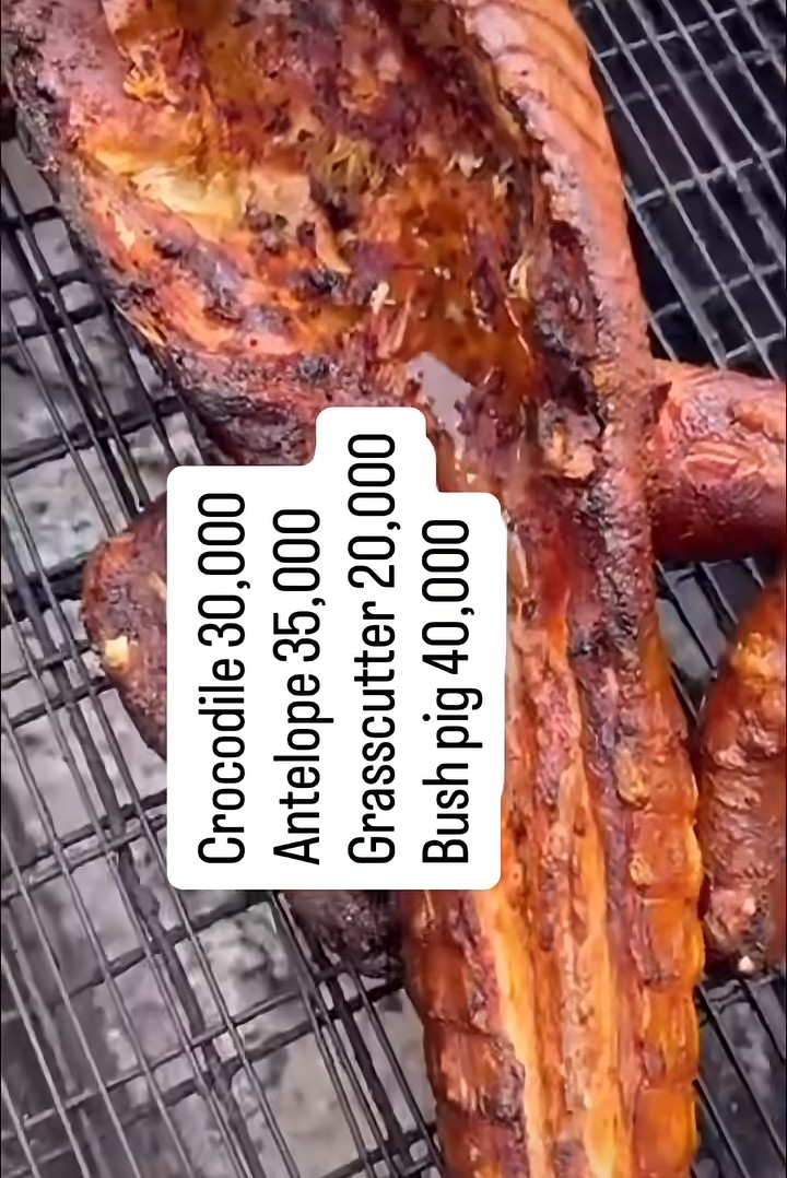 IMPERVIOUS 8🌍💰👑 tweet media