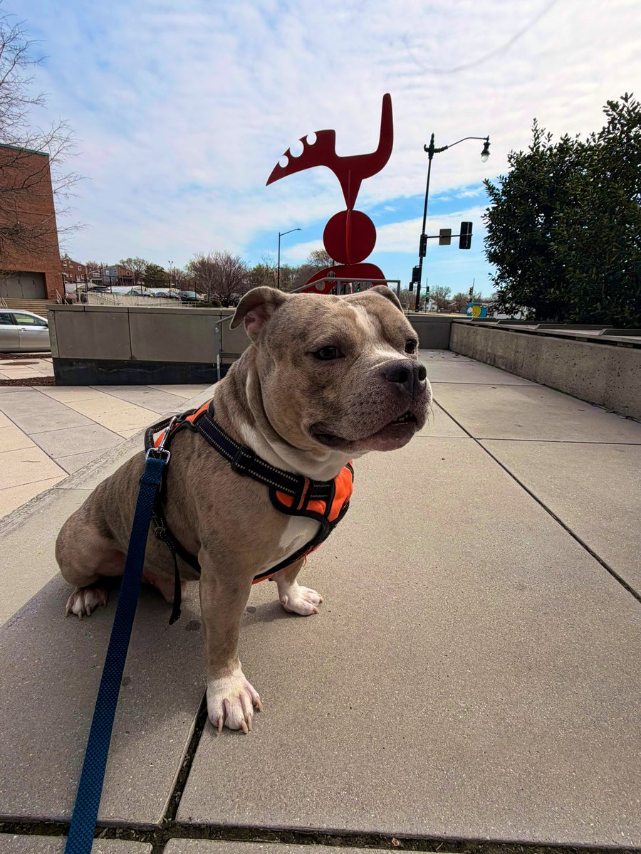 𝕵𝖆𝖞𝖈𝖊𝖊 𝕲𝖚𝖜𝖔𝖕 tweet media