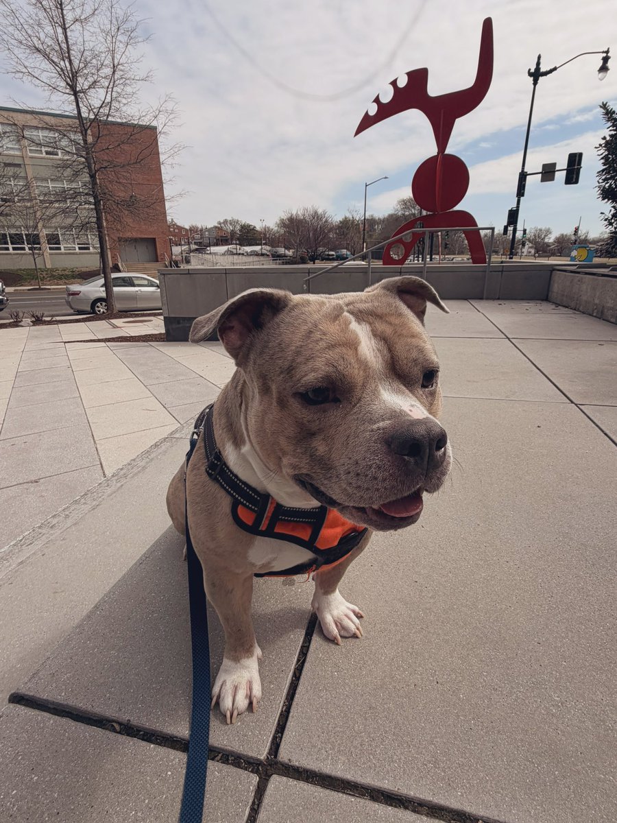 𝕵𝖆𝖞𝖈𝖊𝖊 𝕲𝖚𝖜𝖔𝖕 tweet media