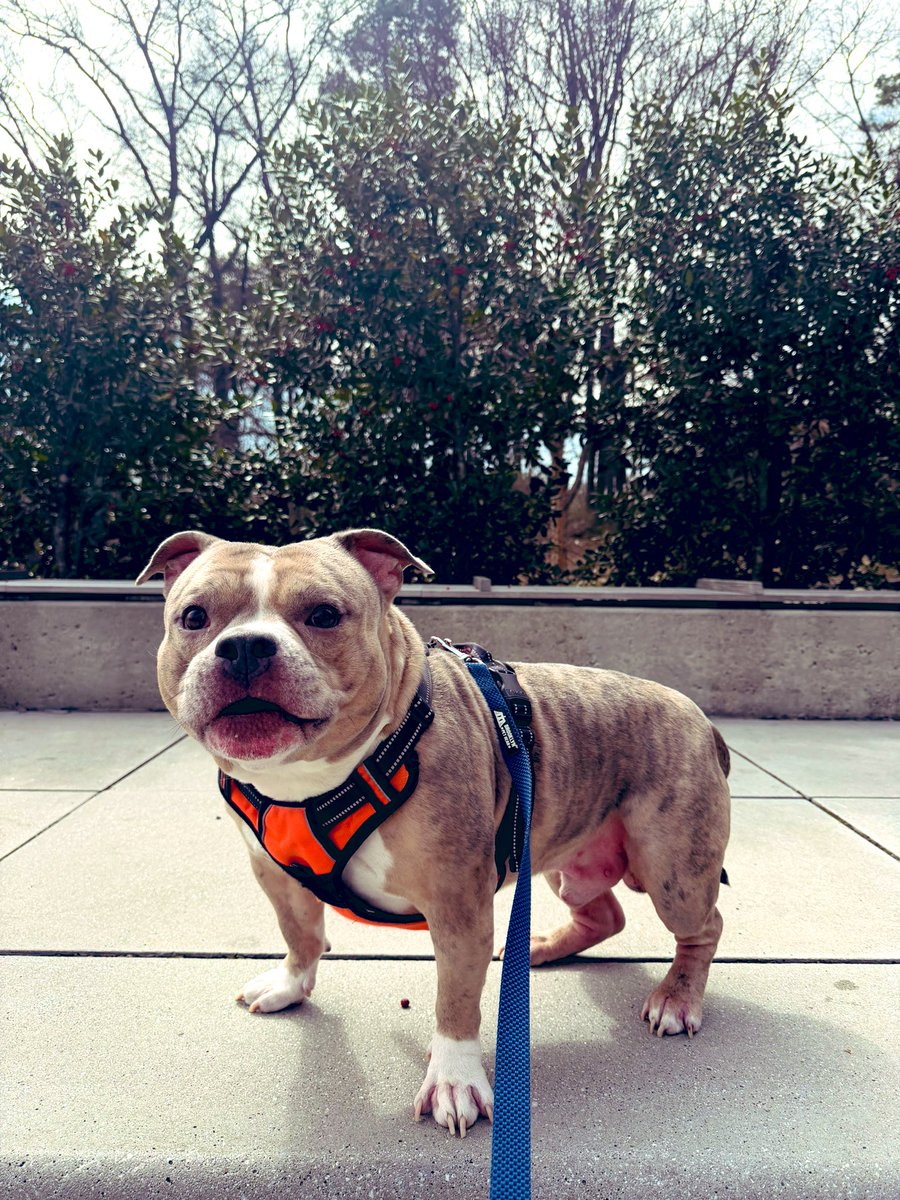 𝕵𝖆𝖞𝖈𝖊𝖊 𝕲𝖚𝖜𝖔𝖕 tweet media