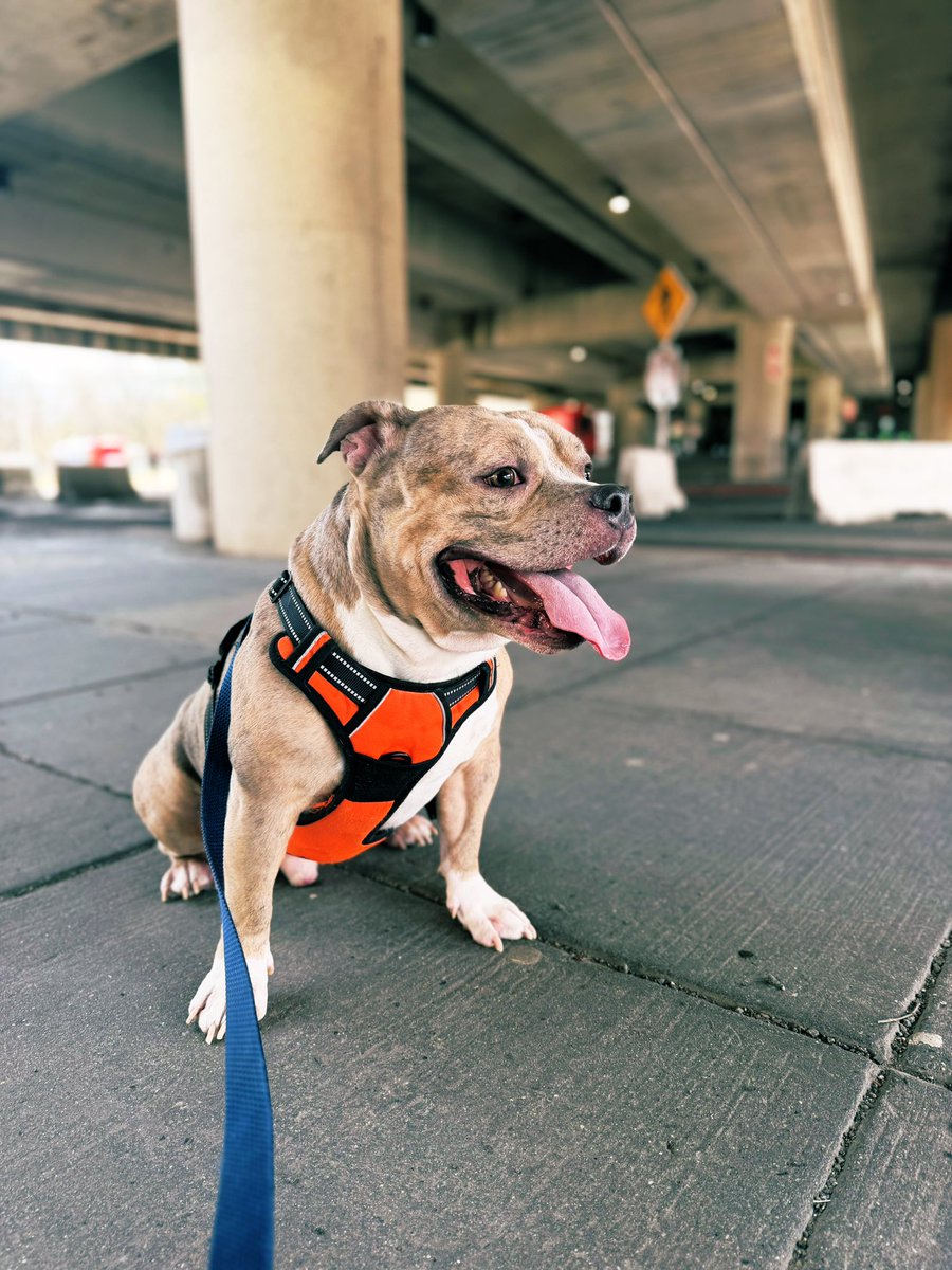 𝕵𝖆𝖞𝖈𝖊𝖊 𝕲𝖚𝖜𝖔𝖕 tweet media