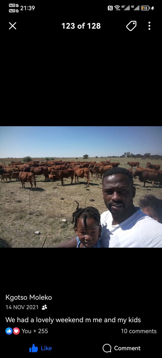 simthembile32's tweet photo. @casketmaker_GOV @KatlegoMaseng1 Next time get your facts right thats his farm with his cows https://t.co/NDgHwrxUun