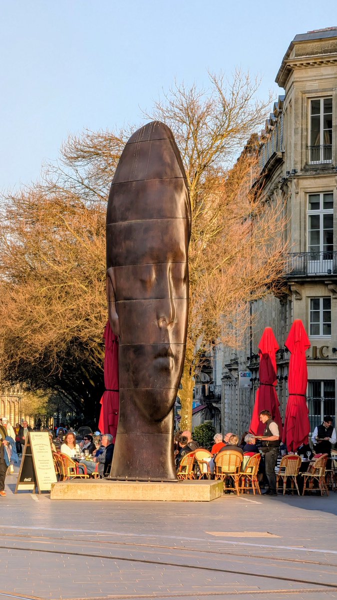 Cat 🧡 🐿 📸 tweet media