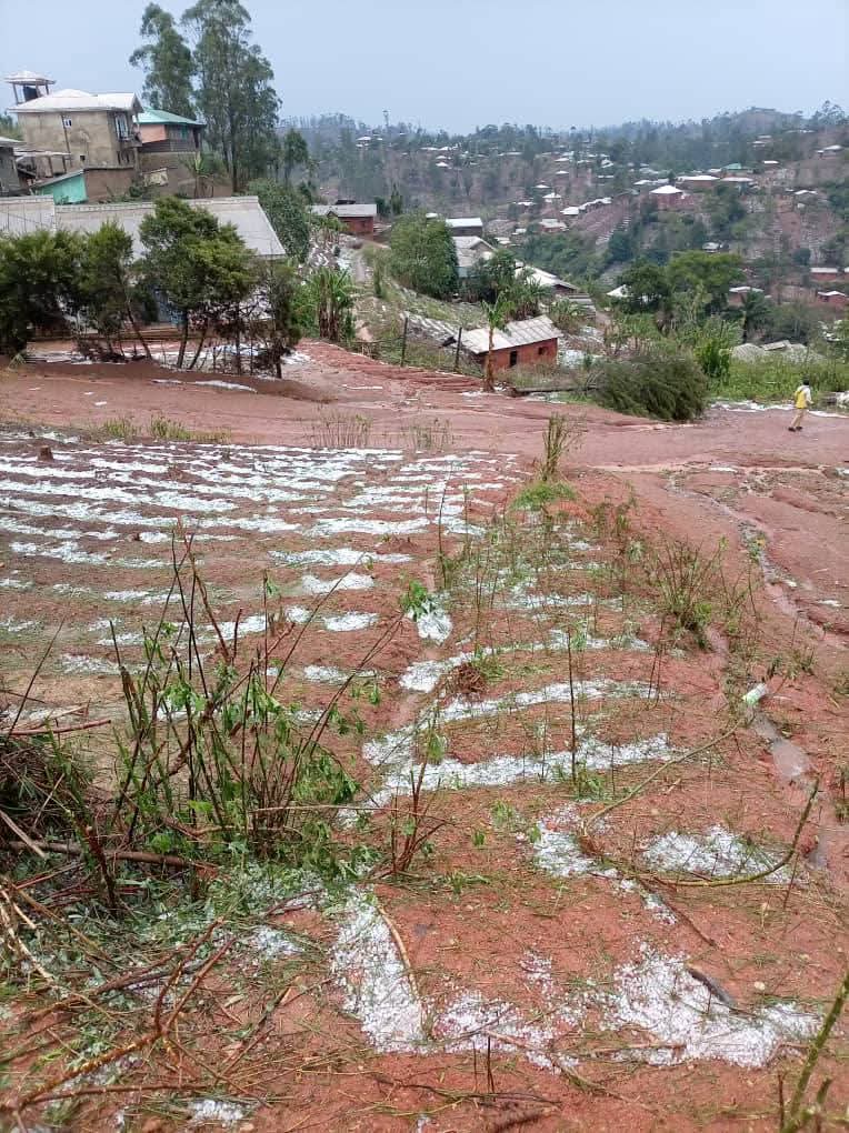 The Cameroonian 🇨🇲 tweet media