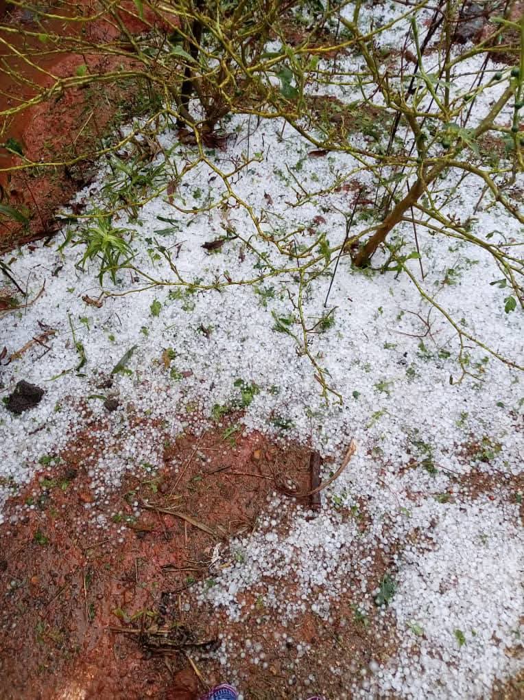 The Cameroonian 🇨🇲 tweet media