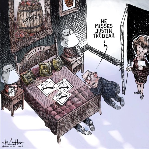 John Shewchuk🇨🇦🇺🇦 tweet media