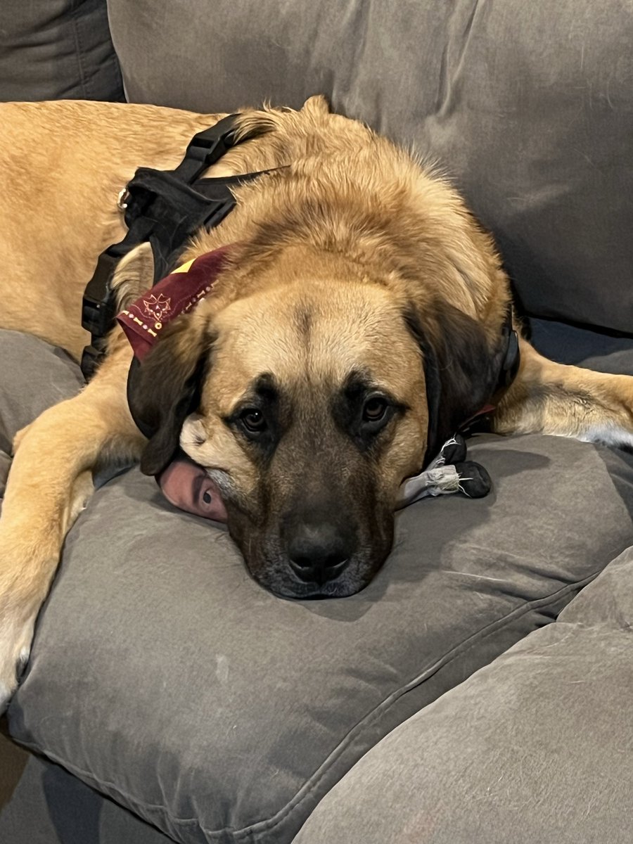 PFT Commenter tweet media