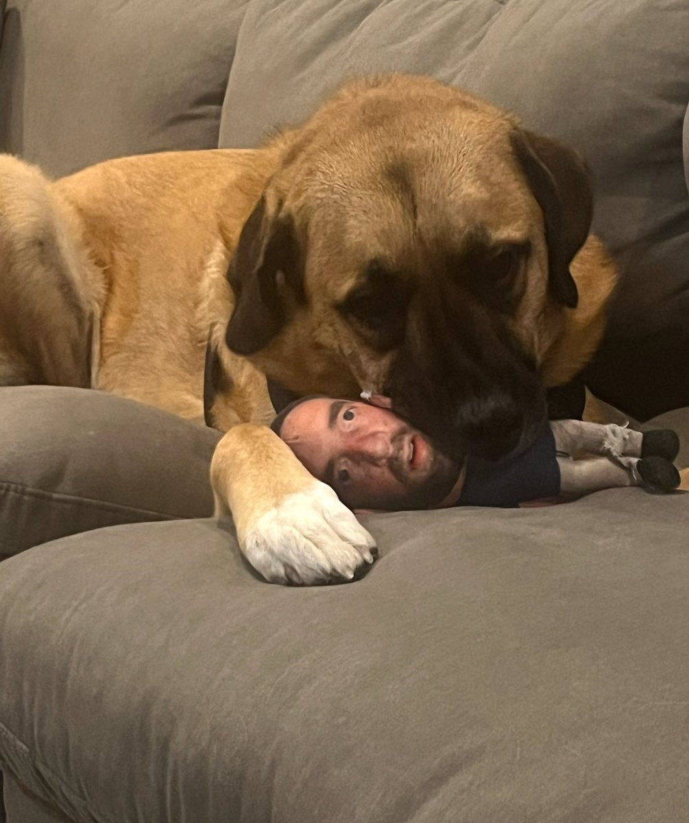 PFT Commenter tweet media