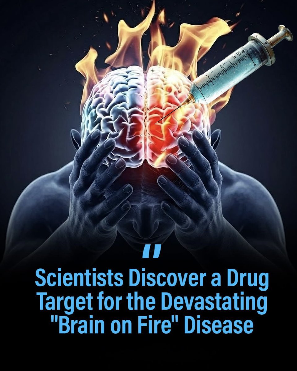 Next Science tweet media