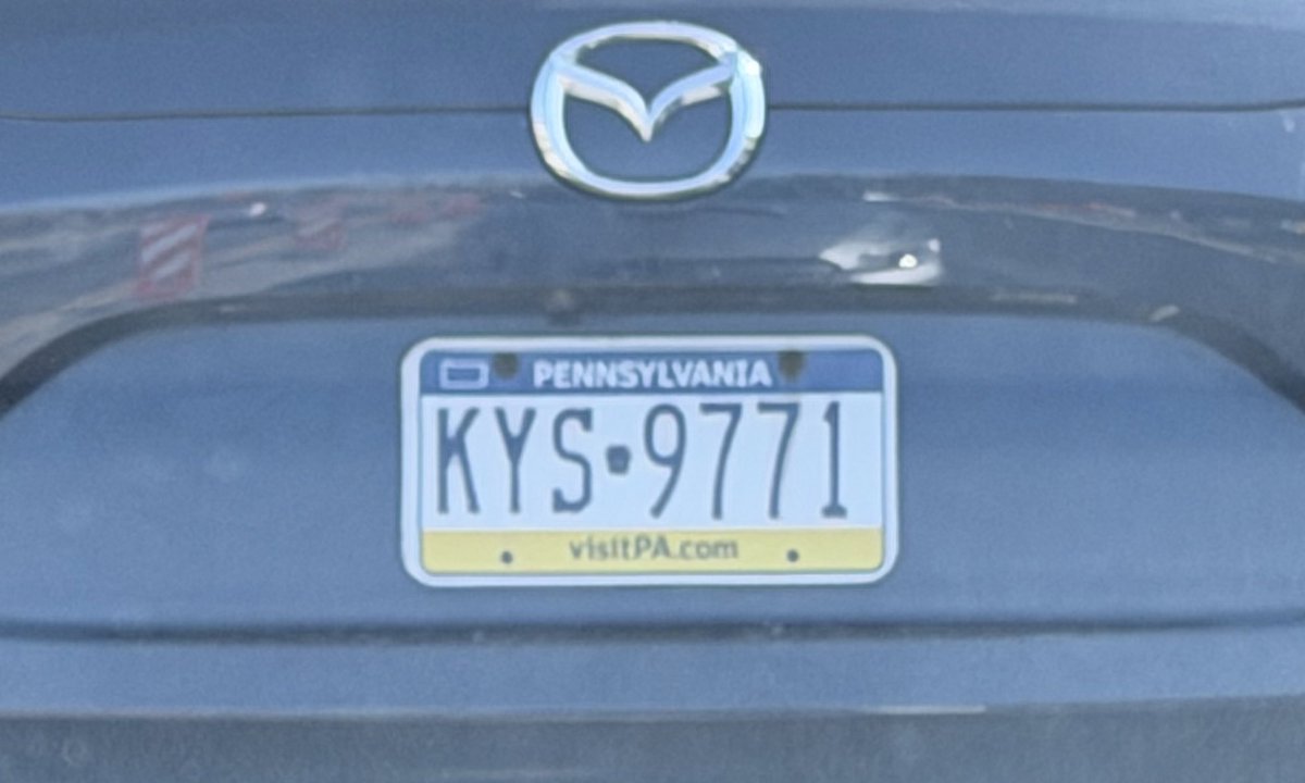 jackie 🐝 tweet media