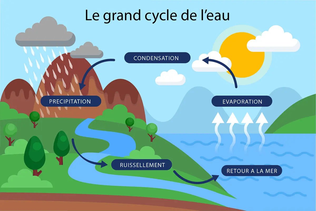 Pakal One tweet media