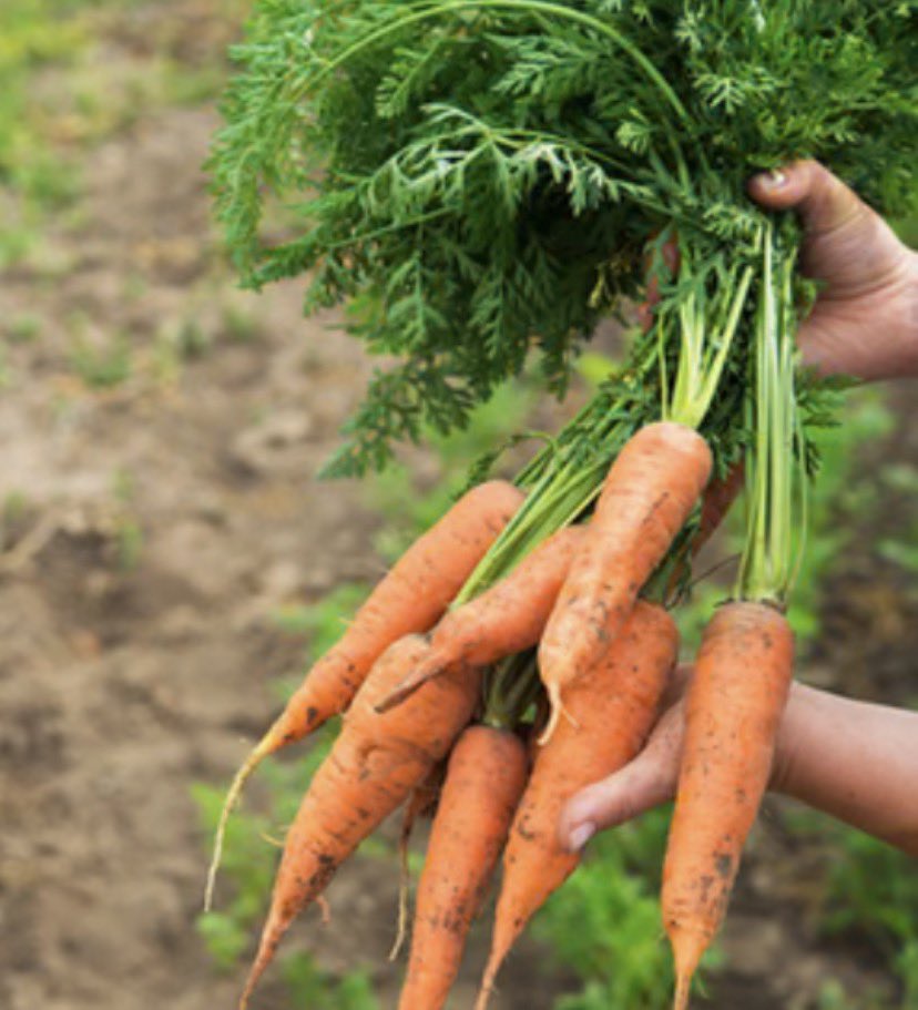 Denis / Backlinks - Digital PRs 🪐 Passive Sphere tweet media