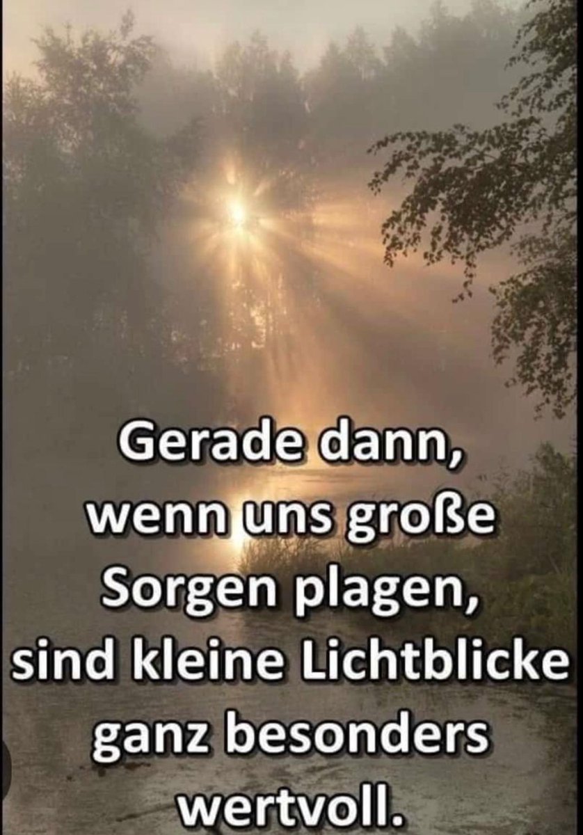 Elke Irish Lady of KERRY 🍀 tweet media