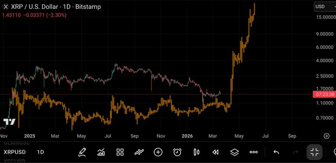 Victoria Deckerman tweet media