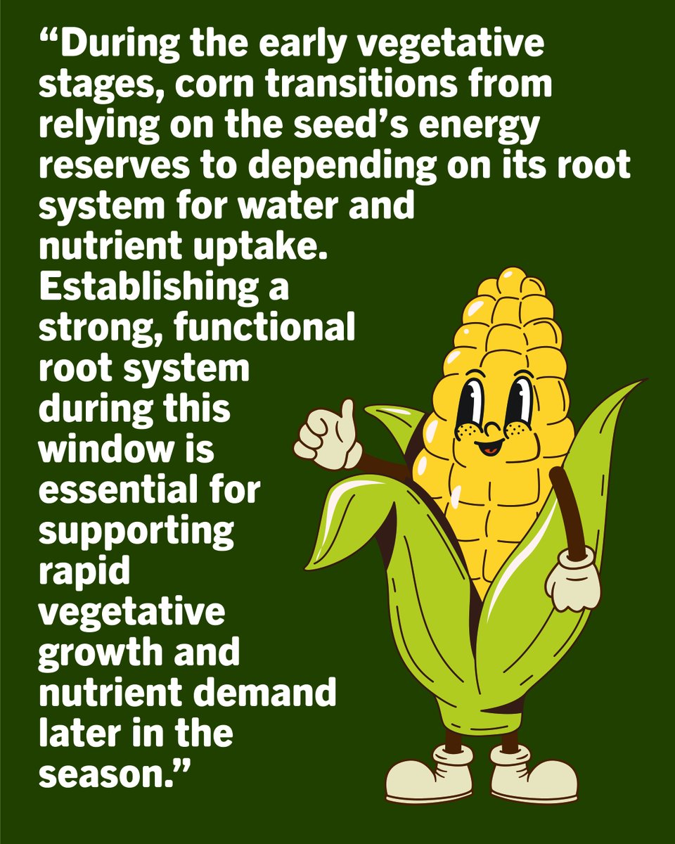 ValentBioStim tweet media
