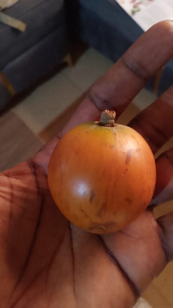 ItsTiMmY👽 tweet media