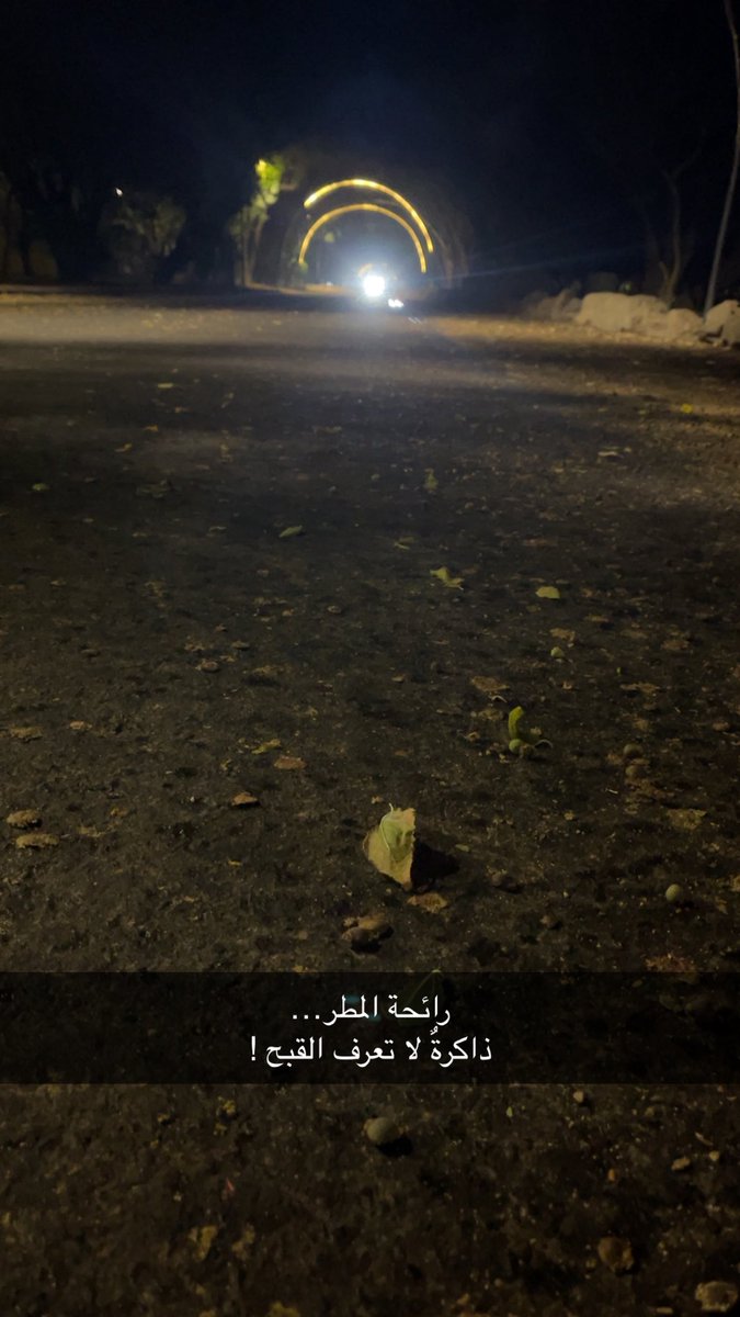 محمد بن حمران tweet media