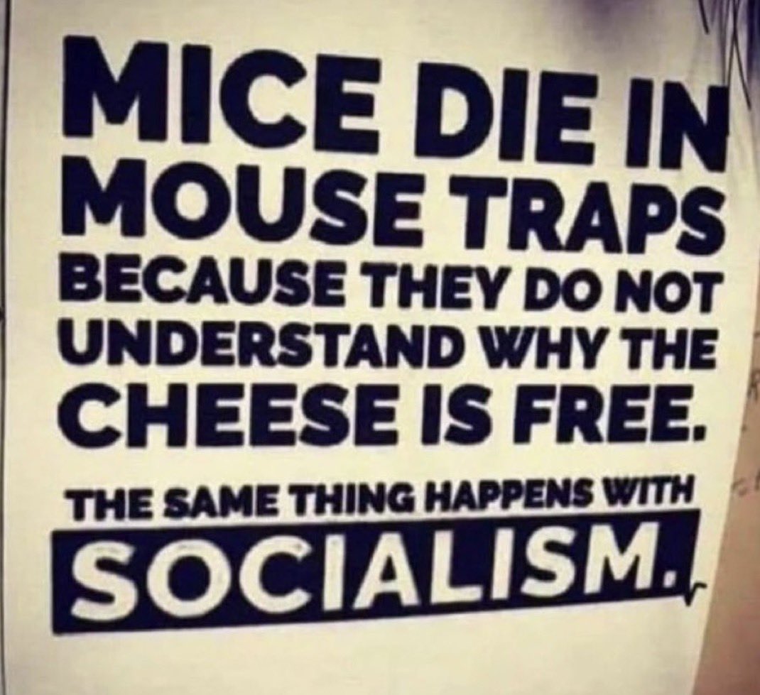 Grumpy ☄️ tweet media