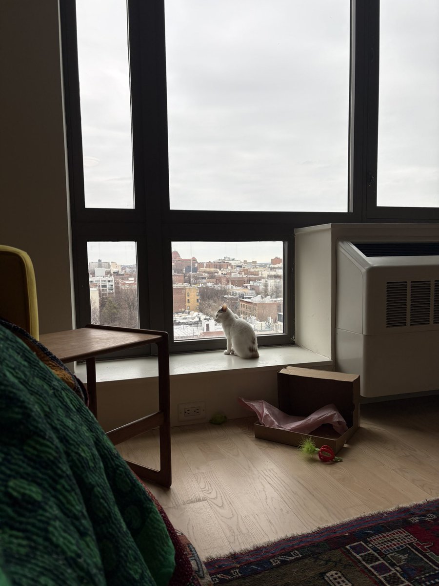 A.V. Marraccini tweet media