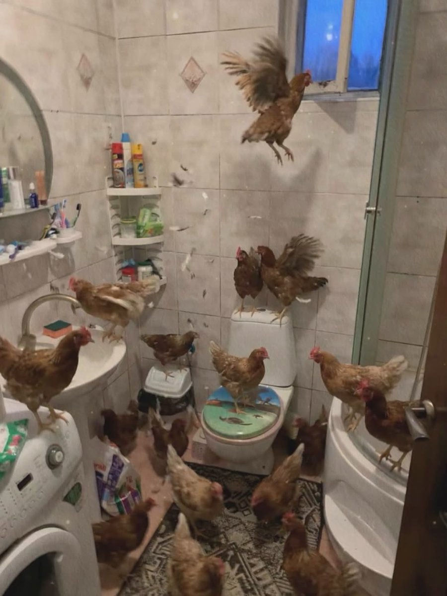 Koena Moabelo tweet media