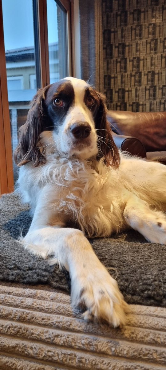 Jampers😜💙🏃‍♀️🤘🎼🎸 tweet media