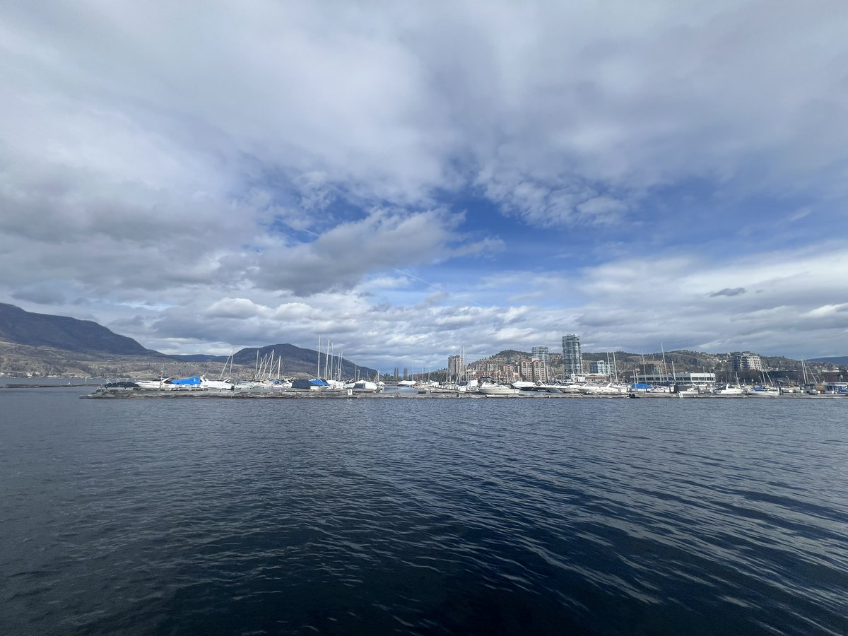 daviskyle.bsky.social tweet media