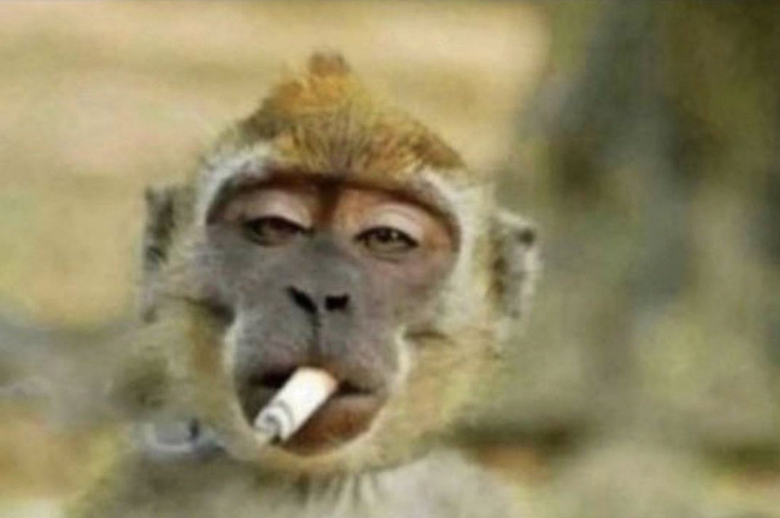 𝐁𝐨-𝐌𝐞𝐬𝐡𝐚𝐥🇶🇦 tweet media