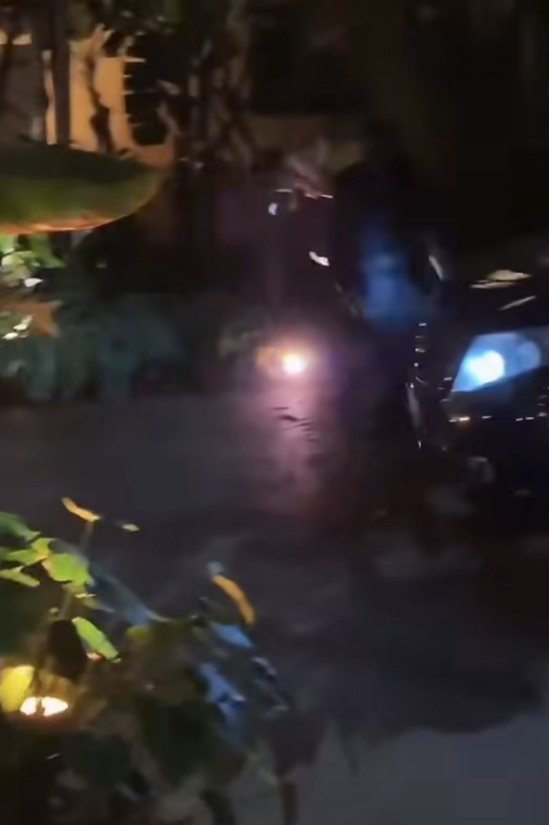 Li na🌸 tweet media