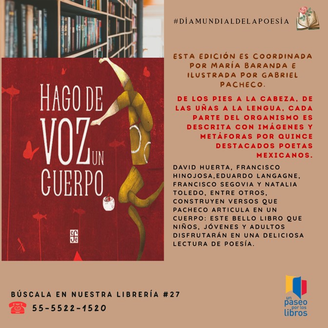 Un Paseo Por Los Libros tweet media