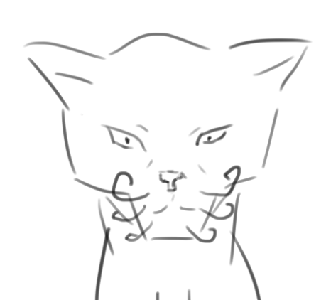 Fottotex tweet media