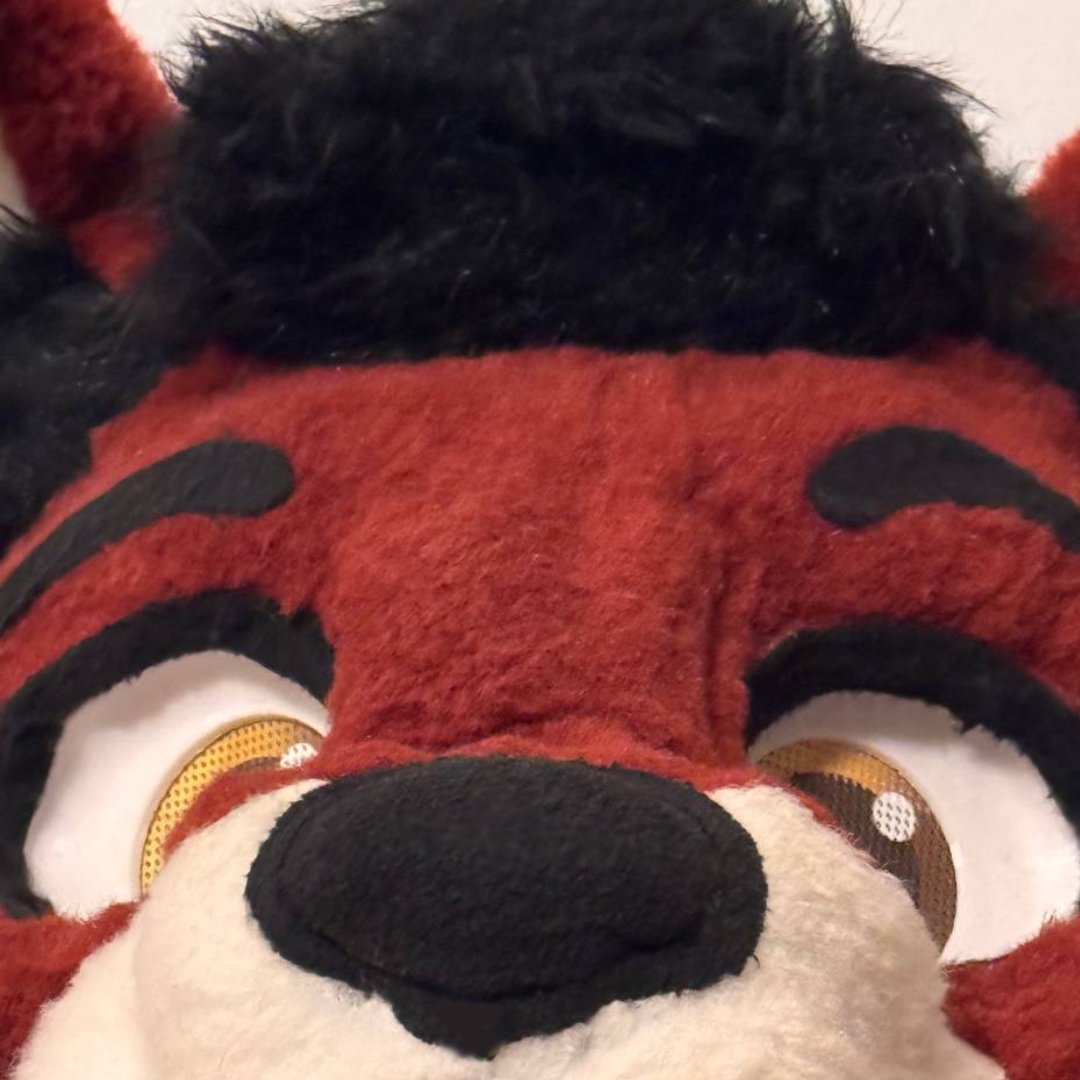 🔴 Shio Red Lynx ⚫ tweet media