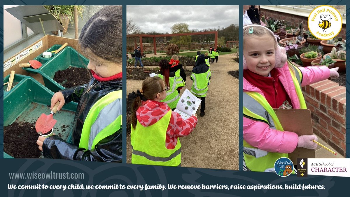 Wise Owl Trust tweet media