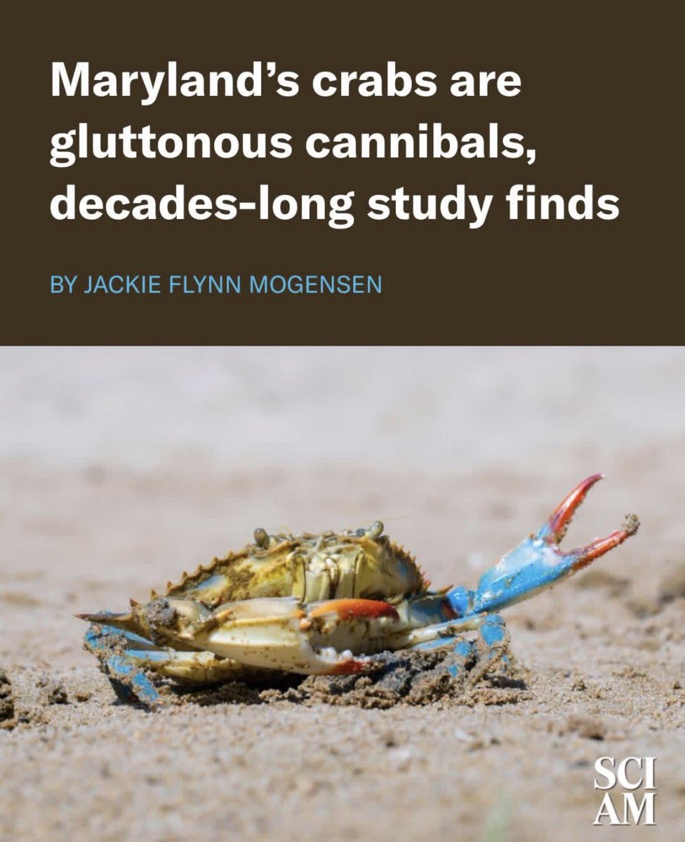 Uhtred Ragnarson tweet media