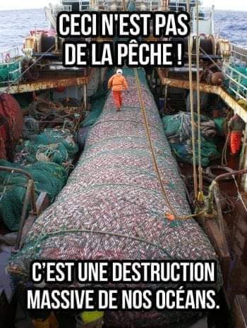 Adea Claude tweet media