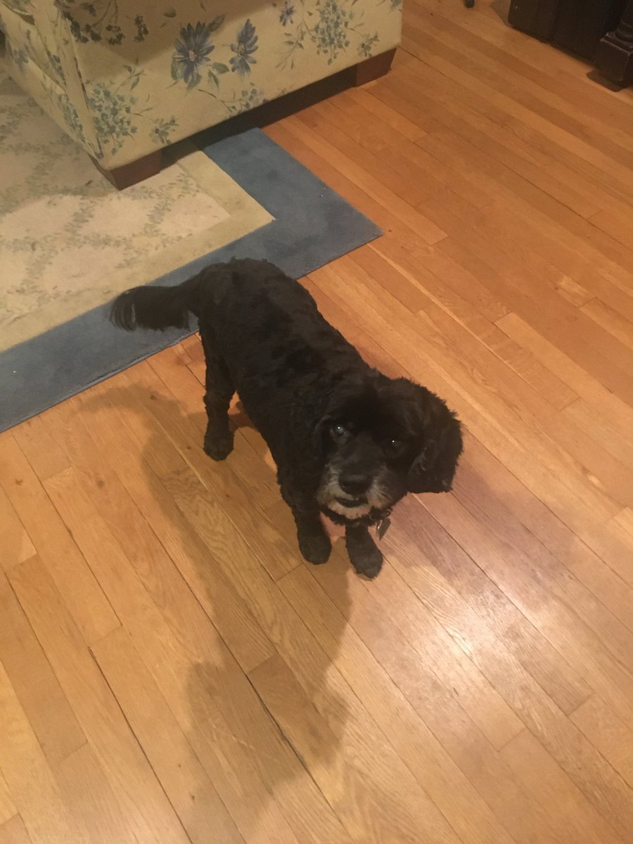 Adam Klay tweet media