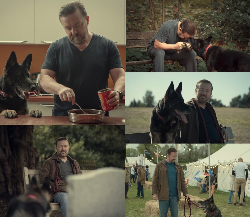 After Life 🐕‍🦺 tweet media