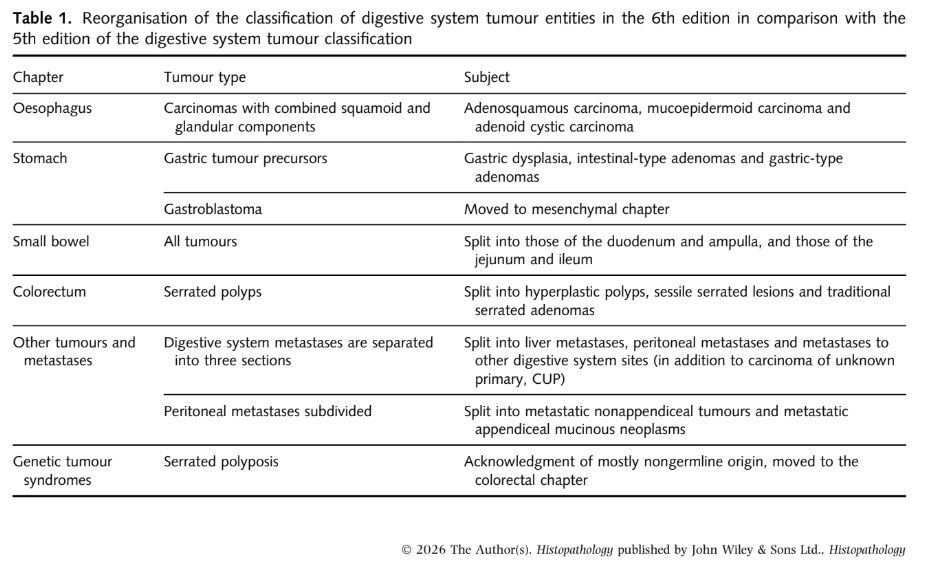 Adriana Zucchiatti tweet media