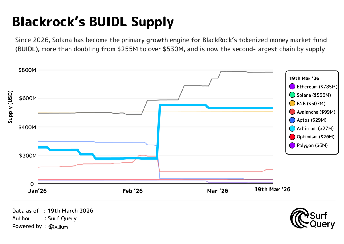 Surf Query tweet media
