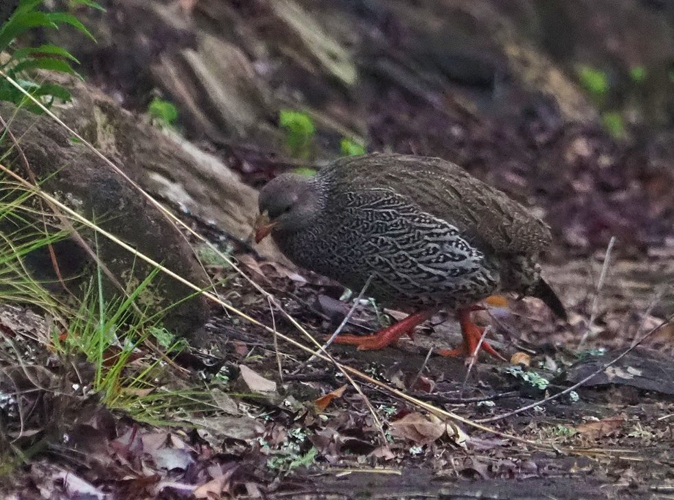 Brian E.Carruthers tweet media