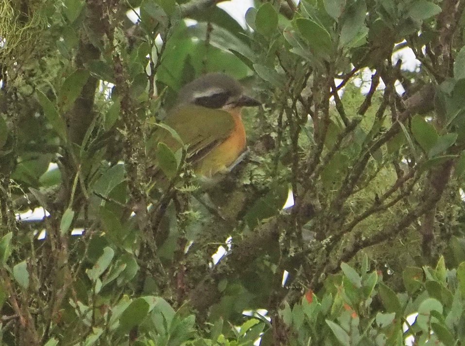 Brian E.Carruthers tweet media