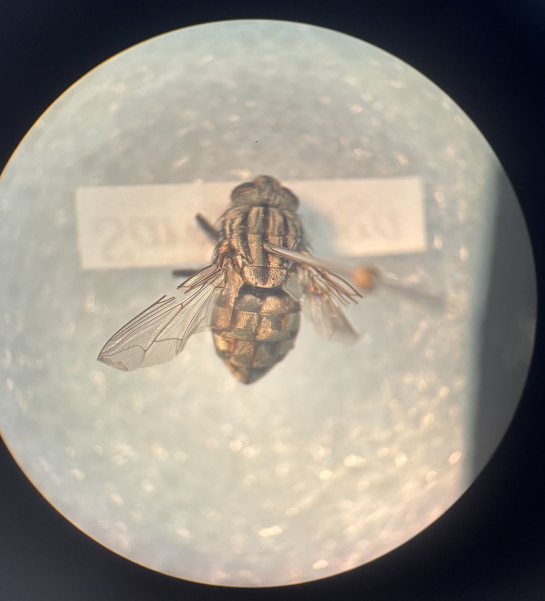 junin MED UFRGS⚕️ tweet media