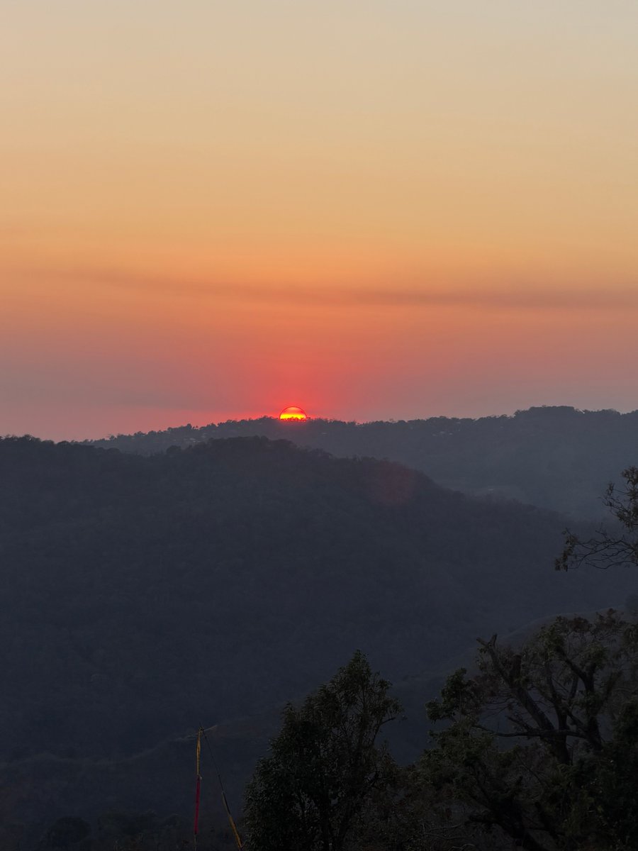 Will in paradise 🇸🇻 tweet media