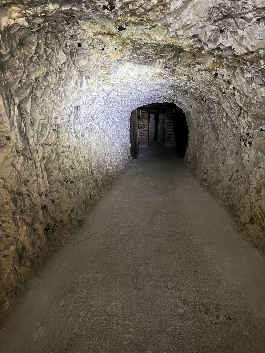 Clive Holden tweet media