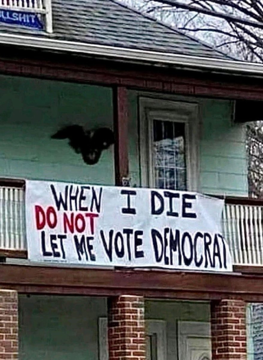 Bobbi'sWorldBasedinNY tweet media