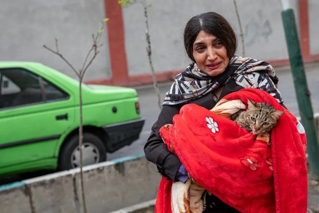 Nadine 🇦🇫🇵🇸🍉 tweet media