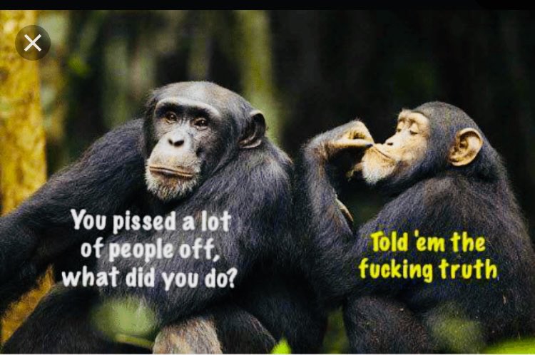 Micki way tweet media