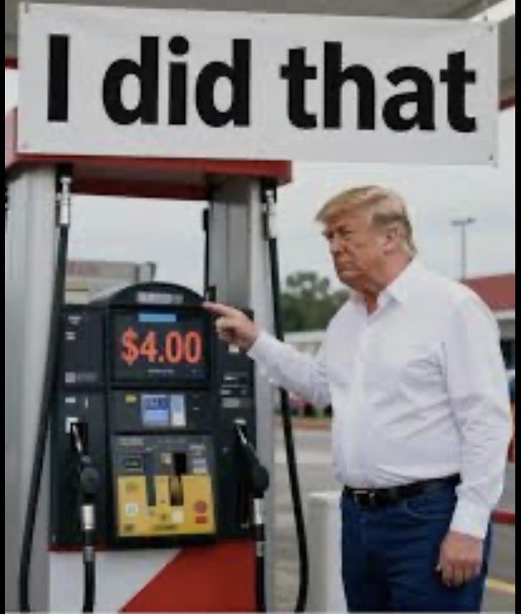 Hadley Sheley tweet media