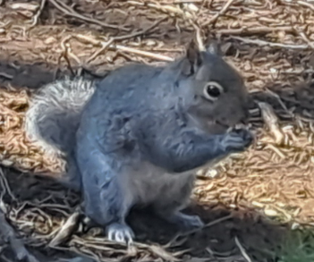 Marv the Famous Soundcloud Rapper tweet media